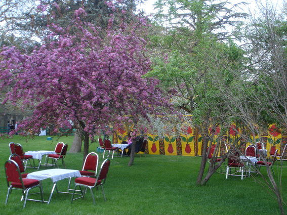 Tranquille le petit jardin a deux pas des bidons-villes...
