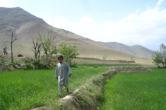 Cultures en terrasses, irriguation, les afghans sont très habiles à cultiver une terre difficile