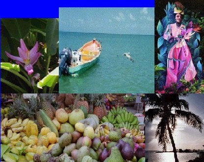  en Guadeloupe , 600 photos en muzik  !!
