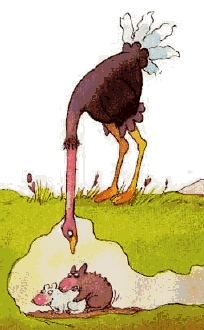47BIRD (1).gif (23338 octets)