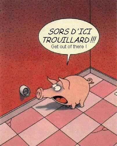cochon.jpg (28416 octets)