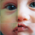 Photos, Jules décomposition