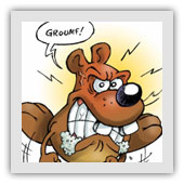 Dressage de chiens agressifs