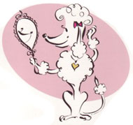 Toilettage Yvelines pour chiens et chats