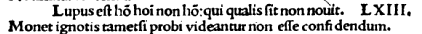 erasme lupus 1520