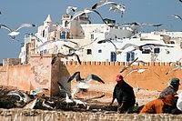 vols maroc et billets d'avion