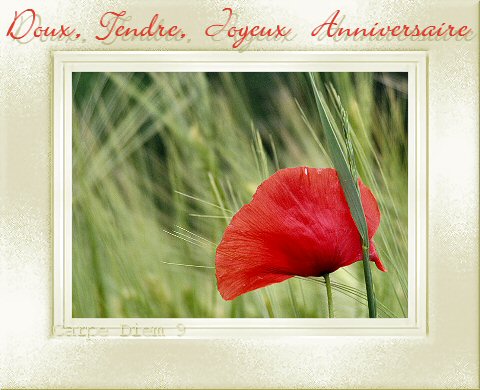 http://mapage.noos.fr/e-cartes/anniversaire14.jpg