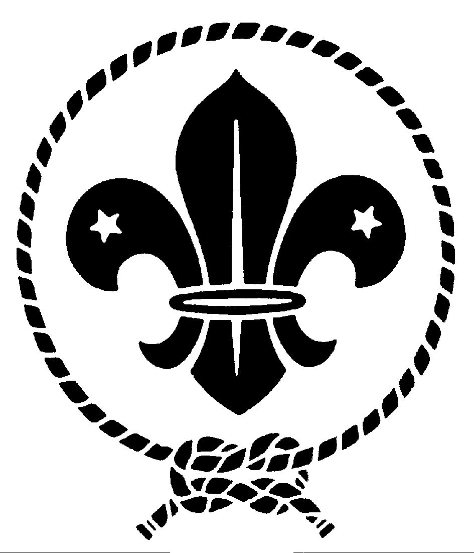 Logo de l'Organisation Mondiale du Mouvement Scout (OMMS)