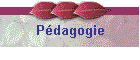 Pdagogie