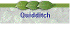 Quidditch