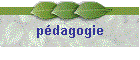 pdagogie