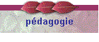 pdagogie