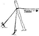 abri5.jpg (6084 bytes)