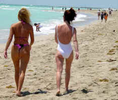 beach19.jpg (31123 octets)