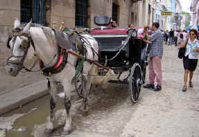 cuba3.jpg (32946 octets)