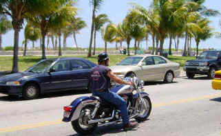 miami17.jpg (29303 octets)
