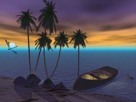 Les cocotiers