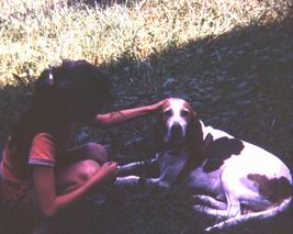 Le chien