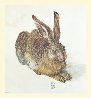 Albrecht Dürer (1471-1528) Le lièvre de 1502