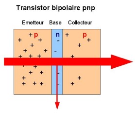 transbip