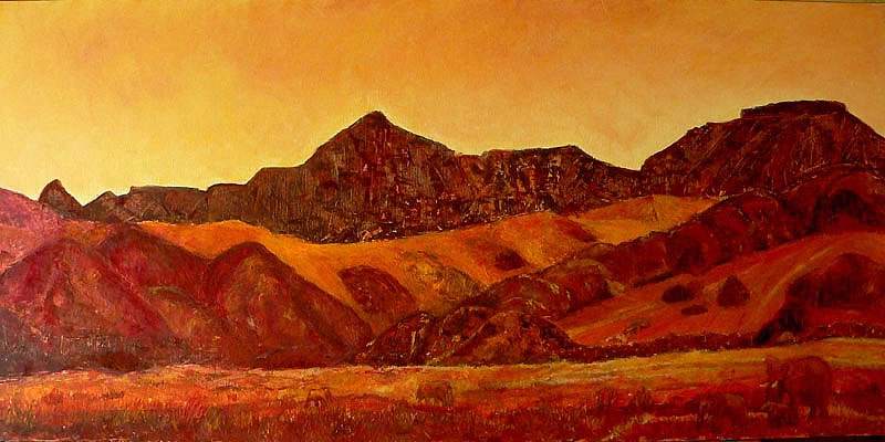 Panorama du Namib dans la galerie Paysage