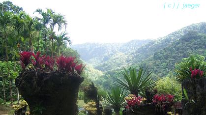 Martinique 