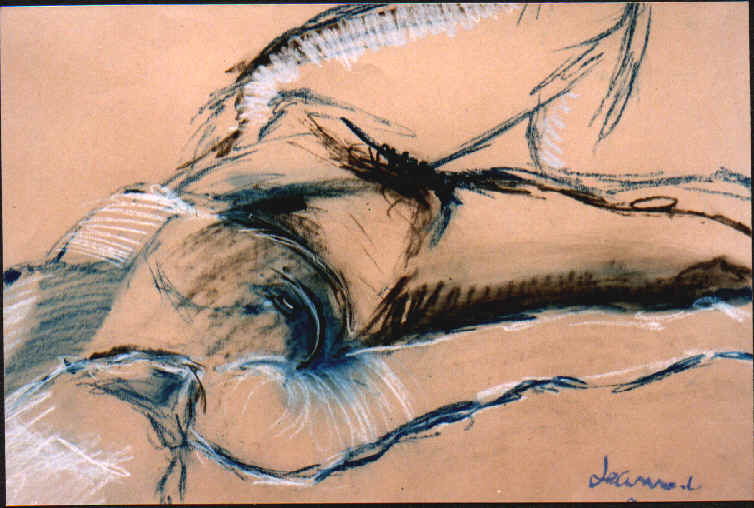 wpe7.jpg (48549 octets)
