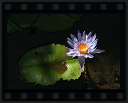 Aperu des albums photos