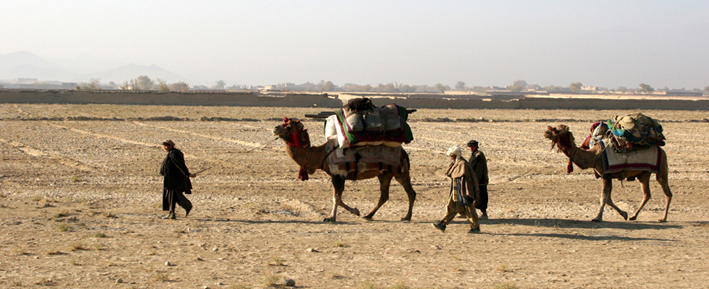 le climat aride chaud remplace celui aride froid et la période de transition, plus clémente et plus humide, attire les nomades...