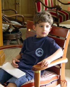 grand chat au fauteuil