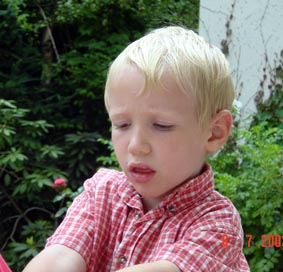 beau goeland
