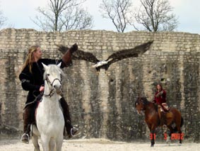 vrai aigle