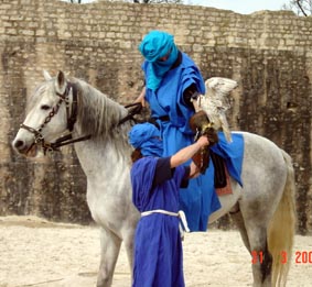 faux touaregs et vraie buse