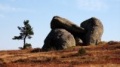 Mont-Lozère - vers le roc des Laubies