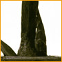 philippe guillemet sculpteur