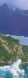 Patagonie - Glacier San Rafael