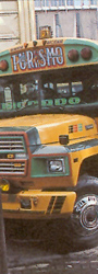 School Bus à San Jose - DR