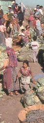 Almolonga - DR
