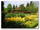 pict0056.jpg