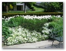 pict0064.jpg
