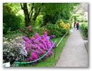pict0069.jpg