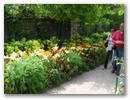 pict0070.jpg
