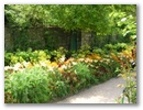 pict0071.jpg