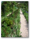 pict0077.jpg