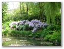 pict0082.jpg