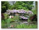 pict0085.jpg