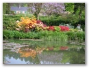 pict0087.jpg