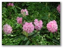 pict0088.jpg