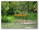 pict0091.jpg