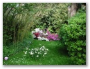 pict0093.jpg